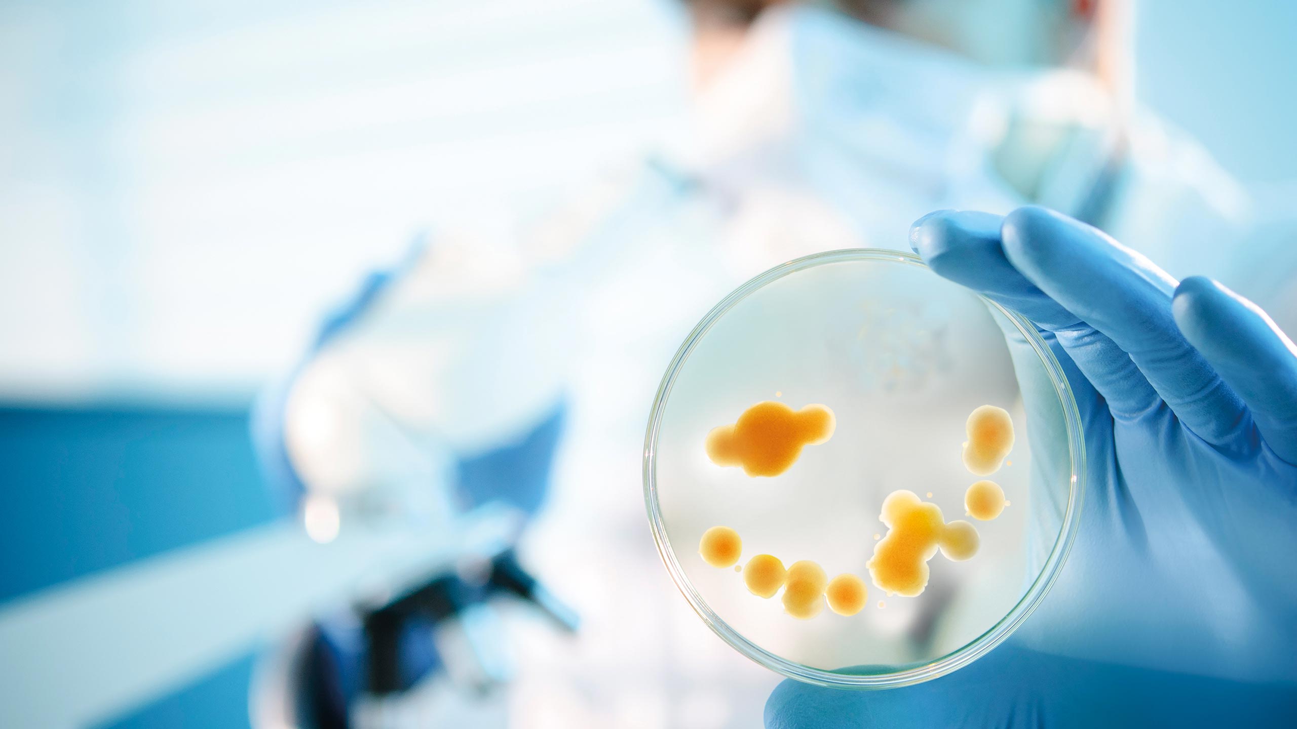 Link zu Wissenschaft Link zu Wissenschaft